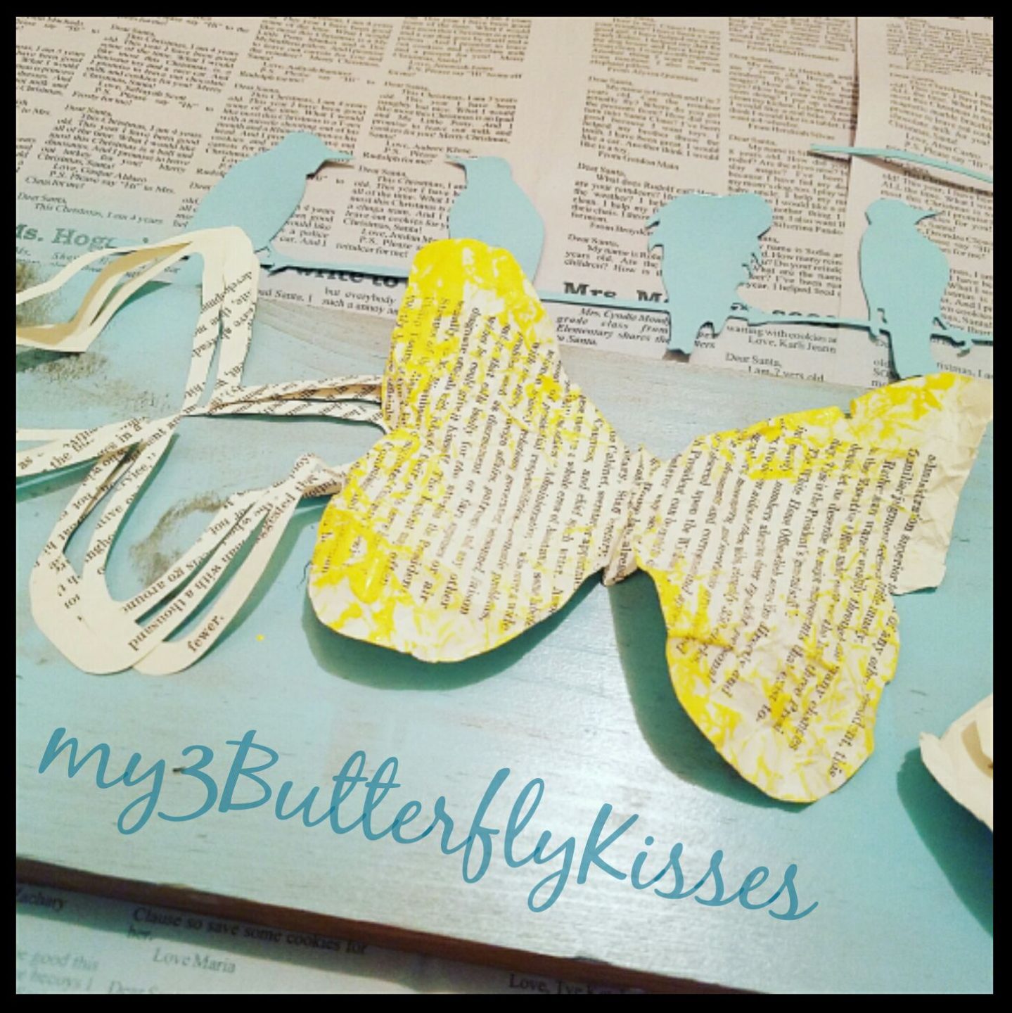 My 3 Butterflykisses